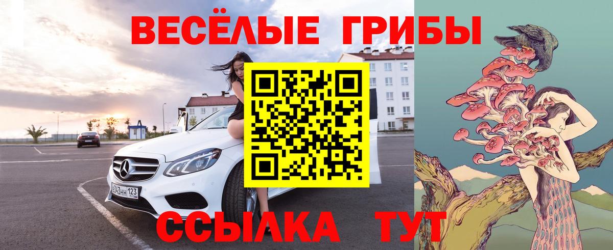 Галлюциногенные грибы мицелий Осинники