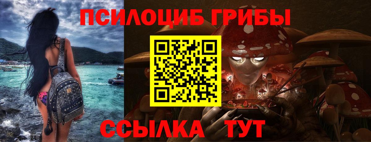 Осинники  Псилоцибиновые грибы Magic Shrooms  Вход с VPN 